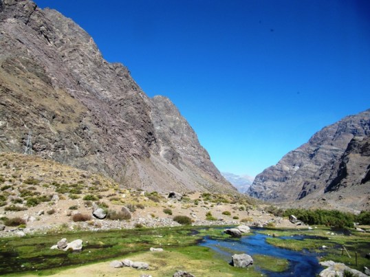Valley with mossy river