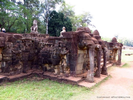 The elephant terraces