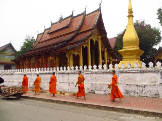 Monks performing their morning alms walk