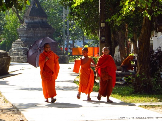 Monks enjoying a walk in the sun