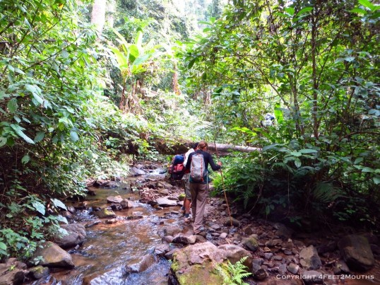 Carmen jungle creek crossing