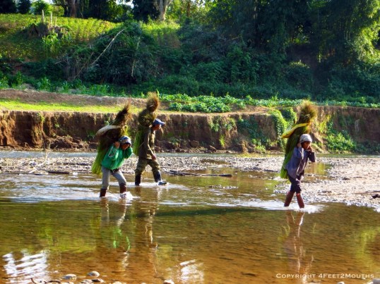 Three farmers carry their daily harvest across the river