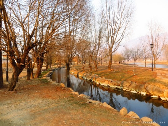 Winter park in Shaxi