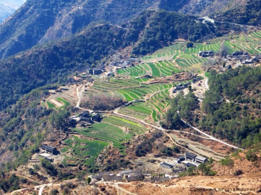 The tiny village with Naxi Guesthouse