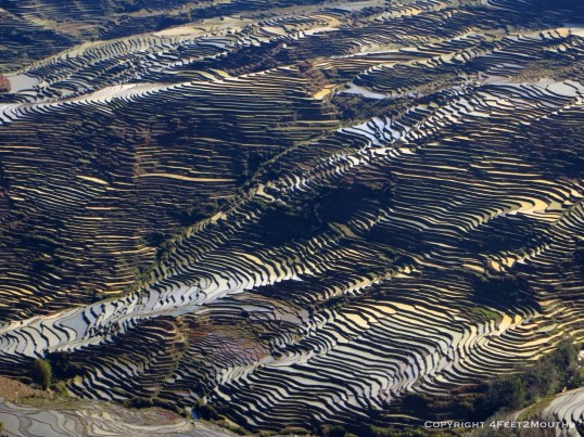 Duoyishu rice terraces