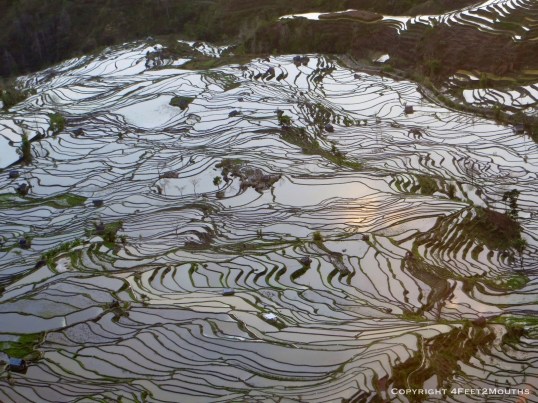 Water-filled dreamscape