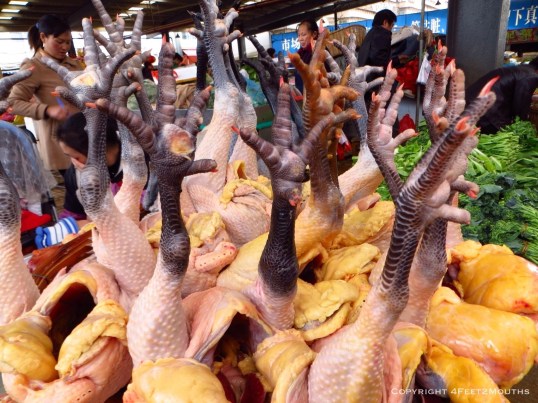 Black footed chicken is popular