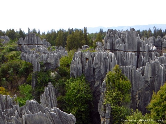 Overlooking the stone forest