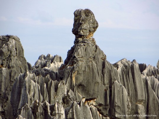 George Washington keeping an eye on China