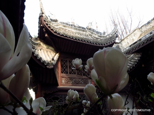 Blossoming flowers and a Chinese backdrop