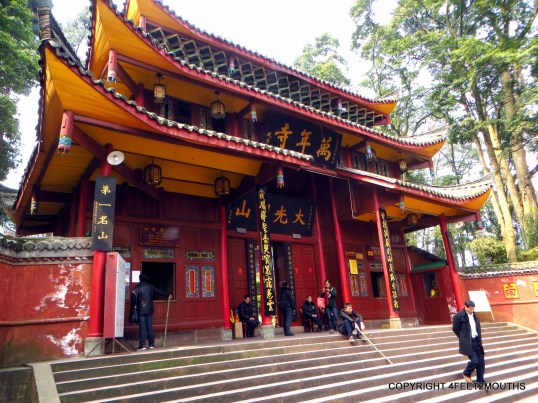 Wannian Temple entrance