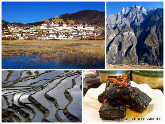 Clockwise from left: monastary in Zhongdian, Jade Dragon Snow Mountain, stinky tofu, rice terraces