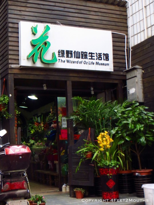 Mystical flower shop in Changsha