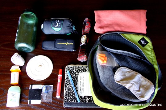 4feet2mouths packing essentials