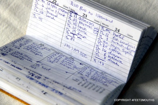 Our pocket expense book