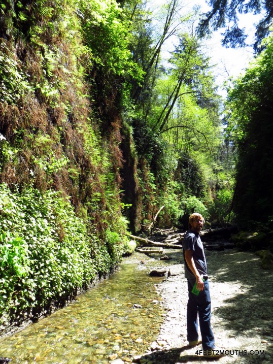 Nathan in Fern Canyon