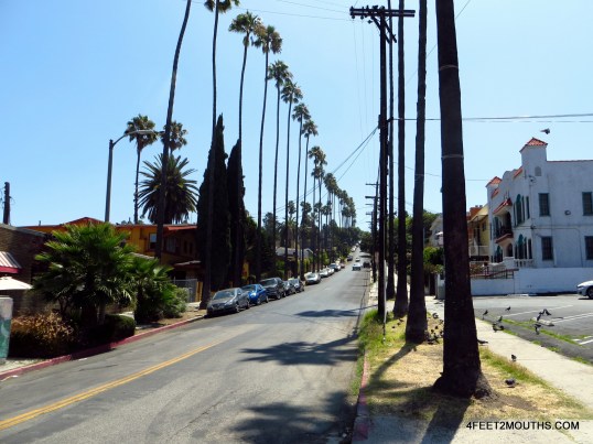 Typical LA street - palm trees, low-rise buildings, baking sun, nobody walking.