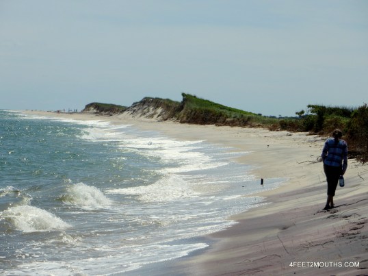 Near the tip of Old Inlet which was breached by Hurricane Sandy