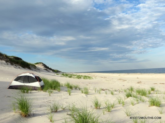 Our secluded campsite among the dunes