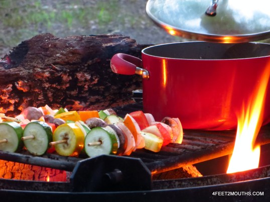 Cooking on the campfire