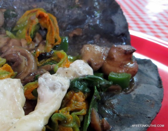 Quesadilla close up with squash flowers and mushrooms