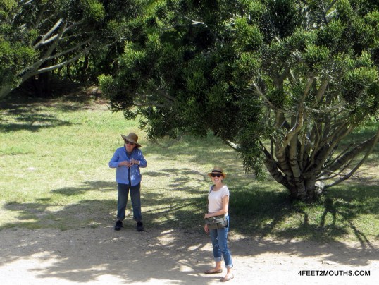 My mom and I Finding shade at Monte Alban