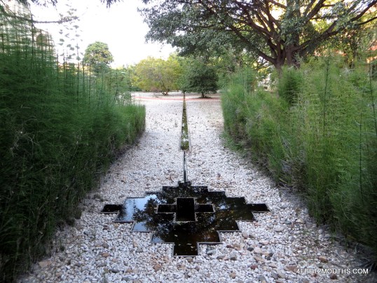 Jardín Etnobotánico